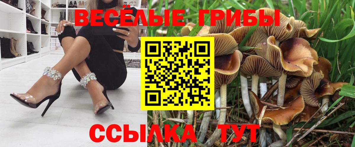 Псилоцибиновые грибы MAGIC MUSHROOMS  Вход с VPN  Полысаево 